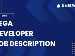 Pega Developer