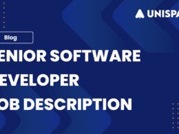 Senior Software Developer Job Description Template